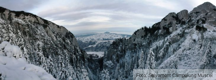 piatra craiului iarna_273543.JPG