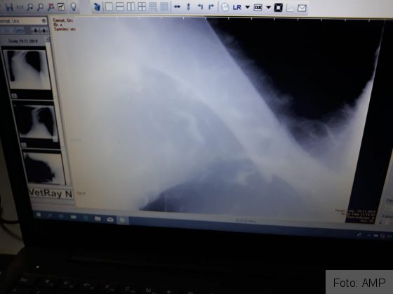 WhatsApp Image 2019-11-19 at 12.47.55_275182.jpeg