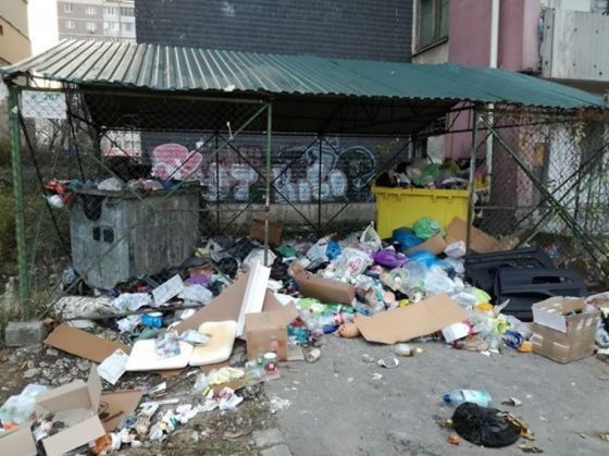 WhatsApp Image 2019-11-21 at 16.59.37_275250.jpeg