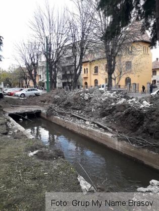 castanilor 2_275254.jpg