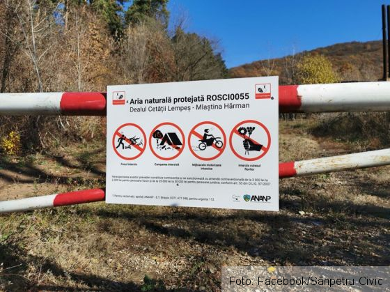 dealul lempes 2_274891.jpg