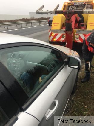 Oana şi Viorel Lis, la un pas de tragedie pe autostradă 2 oana lis 3_274641.jpg