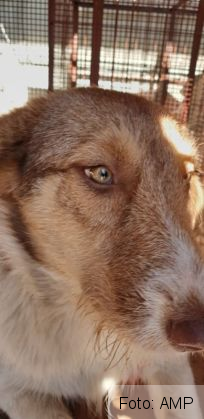 BRAŞOV. Dezinfecţie de urgenţă, după focarul de hepatita A de pe strada Carierei! S-a implicat şi AMP 4 amp 4_275693.jpg