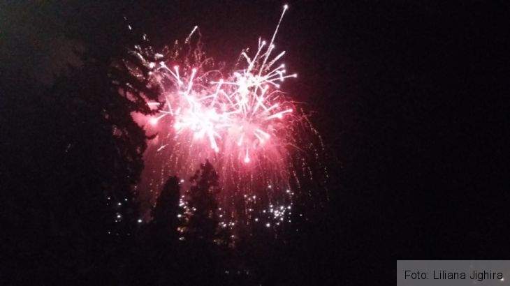 artificiile (2)_275574.jpg