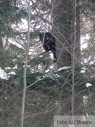 WhatsApp Image 2020-01-04 at 15.25.13_276719.jpeg