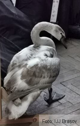 WhatsApp Image 2020-01-10 at 13.25.06_276874.jpeg