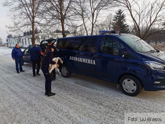 WhatsApp Image 2020-01-10 at 13.25.12_276878.jpeg