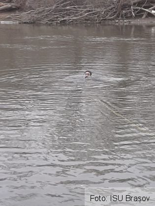 WhatsApp Image 2020-01-13 at 17.46.12_277002.jpeg