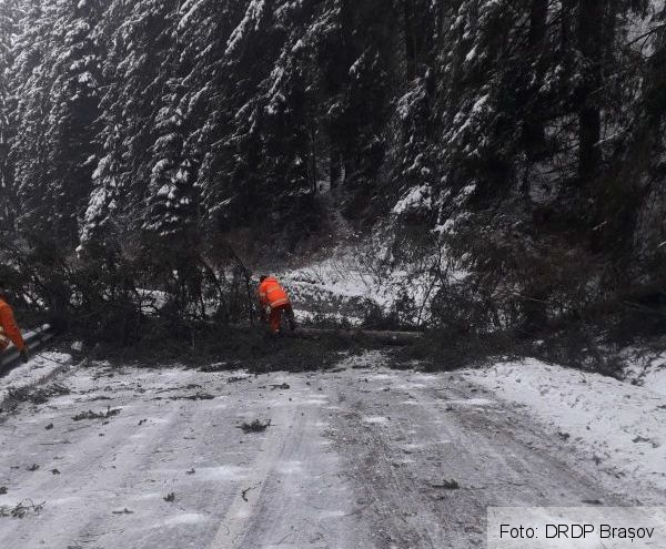 La Braşov, 30 de tone de sare împrăştiate pe şosele / Probleme în multe zone, din cauza copacilor căzuți / Nu porniţi la drum! 2 whatsappimage2020-02-05at18-23-22.jpeg