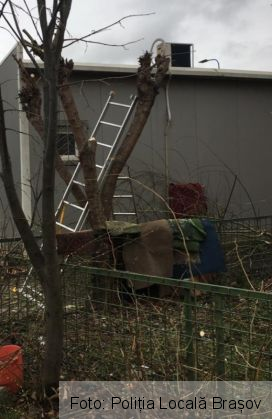 WhatsApp Image 2020-03-12 at 12.31.22_278746.jpeg