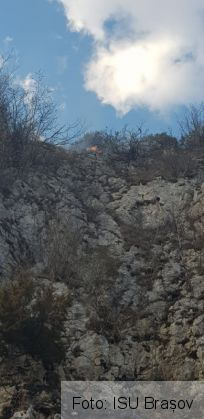 WhatsApp Image 2020-03-13 at 17.48.44_278790.jpeg