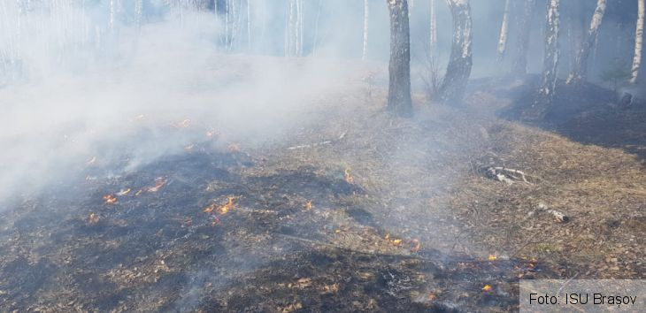 WhatsApp Image 2020-03-13 at 17.48.45_278792.jpeg