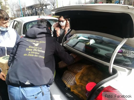 mancare restaurant 6_279388.jpg