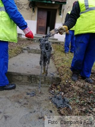 mizerie canalizare 3_279242.jpg