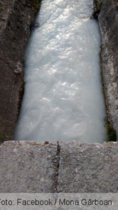 raul timis 3_278573.jpg