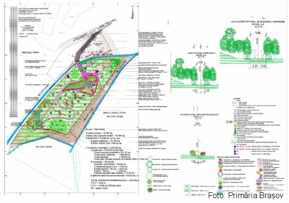 WhatsApp Image 2020-04-15 at 11.35.34_279858.jpeg