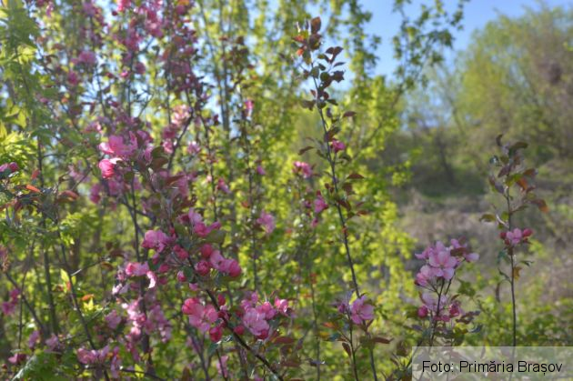 WhatsApp Image 2020-04-28 at 14.33.23 (1)_280181.jpeg