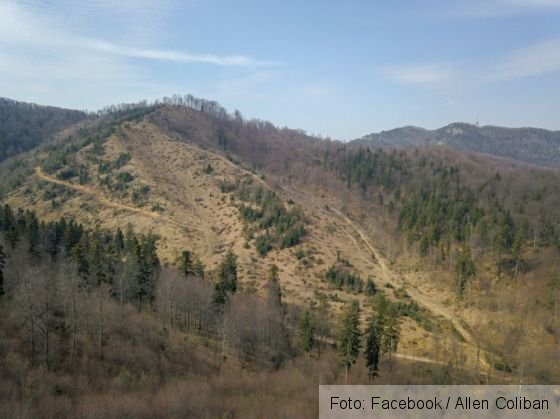 taieri noua 3_279626.jpg