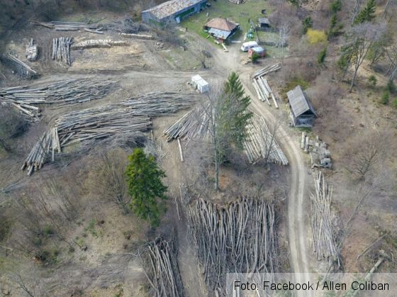 taieri noua 4_279629.jpg