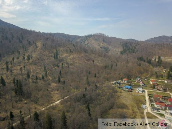 taieri noua 5_279628.jpg