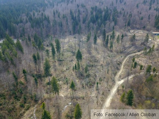 taieri noua_279630.jpg