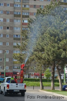 WhatsApp Image 2020-05-08 at 10.31.30_280444.jpeg