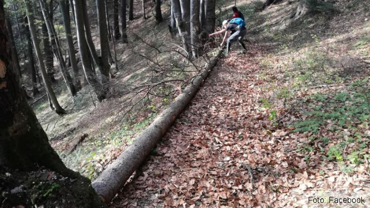 salvamont sacele 2_280533.jpg