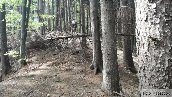 salvamont sacele 3_280534.jpg