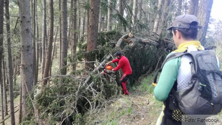 salvamont sacele_280532.jpg