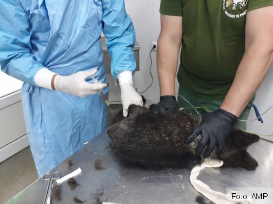 WhatsApp Image 2020-06-08 at 13.53.19 (1)_281013.jpeg