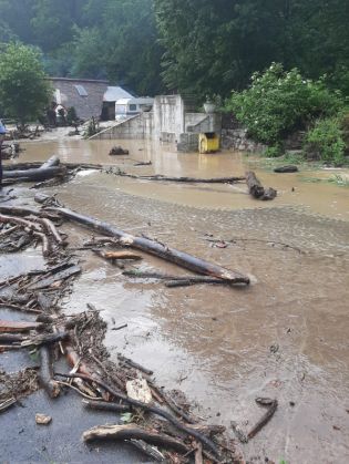 WhatsApp Image 2020-06-19 at 16.31.21_281258.jpeg