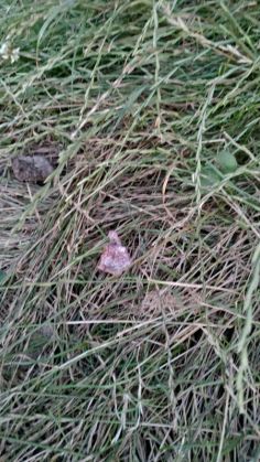 WhatsApp Image 2020-07-16 at 13.19.36 (2)_281850.jpeg