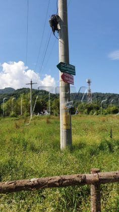 WhatsApp Image 2020-07-24 at 12.20.00_282072.jpeg