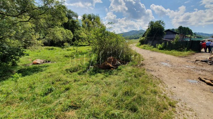 WhatsApp Image 2020-07-24 at 12.20.01 (3)_282071.jpeg