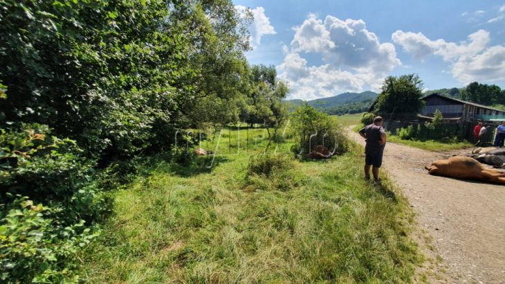 WhatsApp Image 2020-07-24 at 12.20.01_282068.jpeg