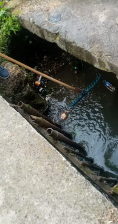 BRAȘOV. Mirosul NU provine de la apă! S-a salubrizat zona... 2 gunoaie1.png