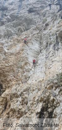 salvamont zarnesti_282847.jpg