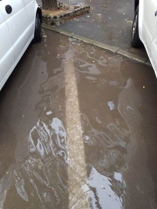 strazi-inundate (3)_282741.jpeg