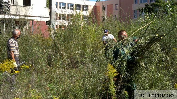 WhatsApp Image 2020-09-10 at 12.20.08_283092.jpeg