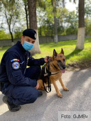 WhatsApp Image 2020-10-15 at 14.06.37 (1)_283837.jpeg