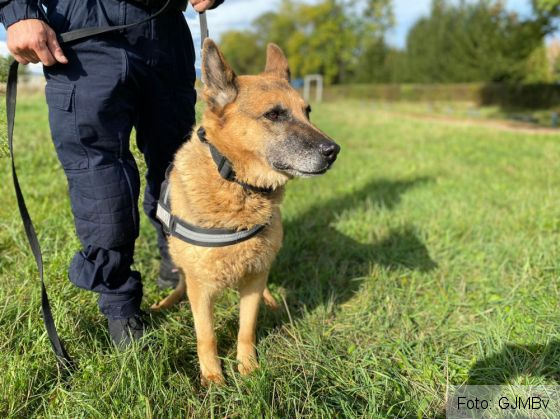 WhatsApp Image 2020-10-15 at 14.06.37_283840.jpeg