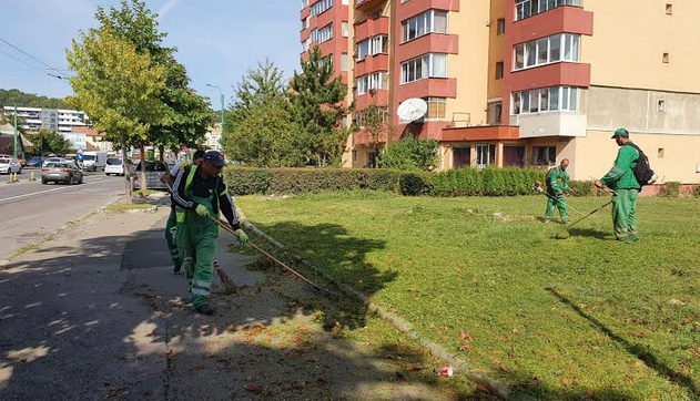 Fii responsabil! Doar împreună putem păstra Brașovul curat 6 comprest5_4.png