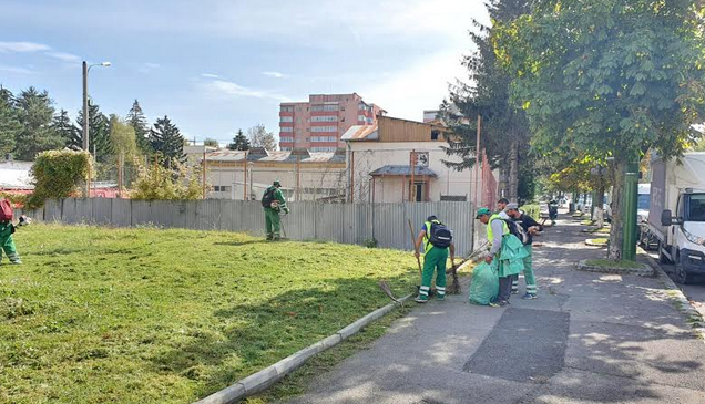 Fii responsabil! Doar împreună putem păstra Brașovul curat 7 comprest6_4.png