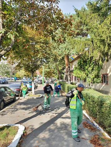 Fii responsabil! Doar împreună putem păstra Brașovul curat 9 comprest8_3.png