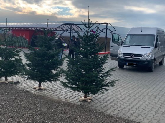 Update. BRAȘOV. Filtre rutiere pentru verificarea transporturilor de pomi de Crăciun 2 WhatsApp Image 2020-12-13 at 12.42.01_285019.jpeg