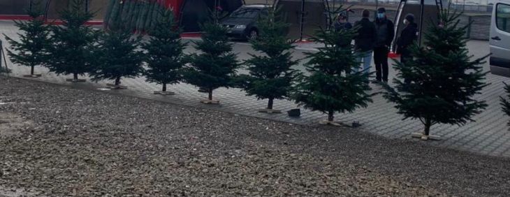 Update. BRAȘOV. Filtre rutiere pentru verificarea transporturilor de pomi de Crăciun 3 WhatsApp Image 2020-12-13 at 12.42.02_285020.jpeg