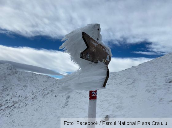 piatra craiului 5_285420.jpg
