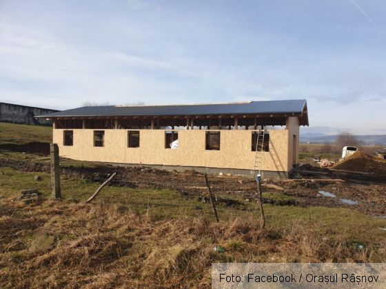 adapost 5_285529.jpg