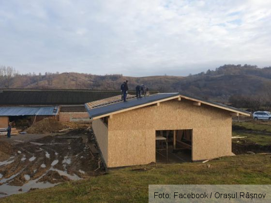 adapost 8_285533.jpg