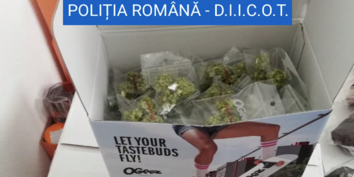 droguri magazin 2_285922.png